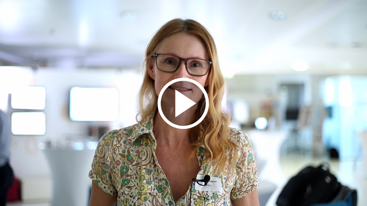 Helena Lindgren, Umeå University